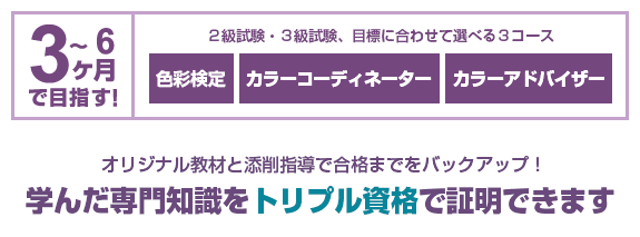 ファッション カラーコーディネート