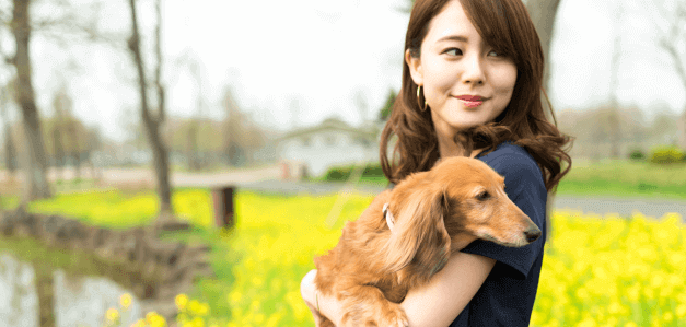 犬猫ストレスケアとは