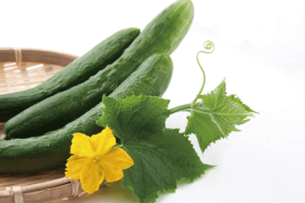 オーガニック野菜ソムリエ