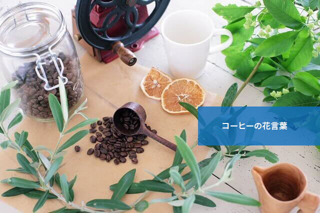 コーヒーの花言葉