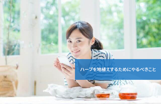 ハーブを地植えするためにやるべきこと
