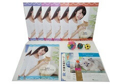 猫の育て方アドバイザー教材