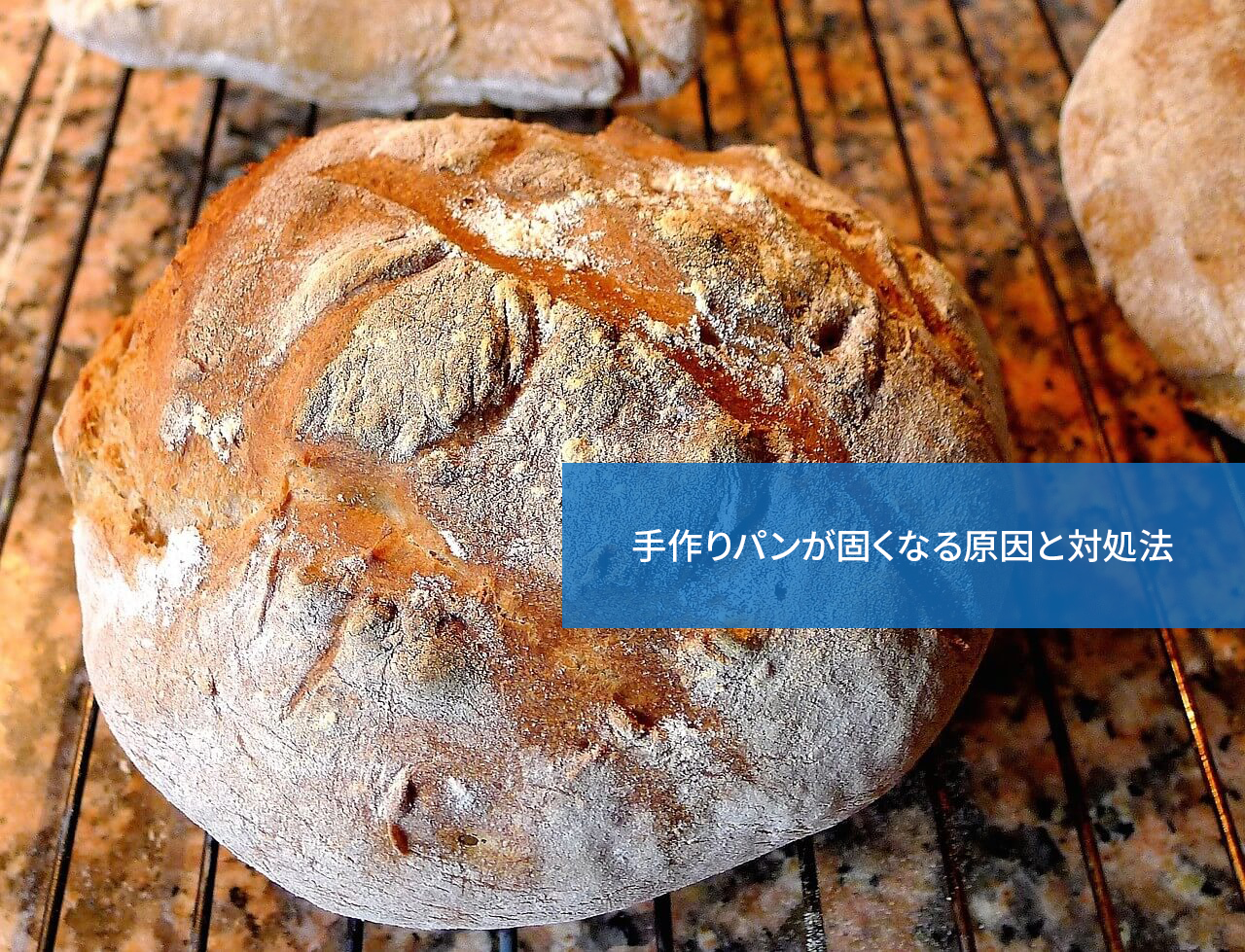なぜうまくいかない 手作りパンが固くなる原因と対処法 手作りパン資格取得検定講座