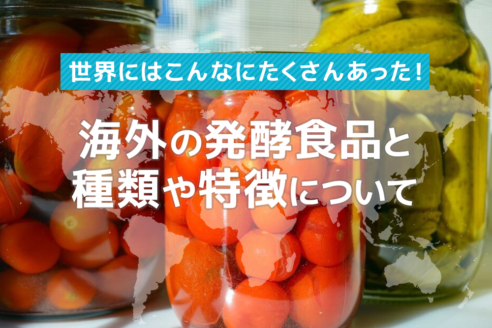 世界にはこんなにたくさんあった！海外の発酵食品と種類や特徴について