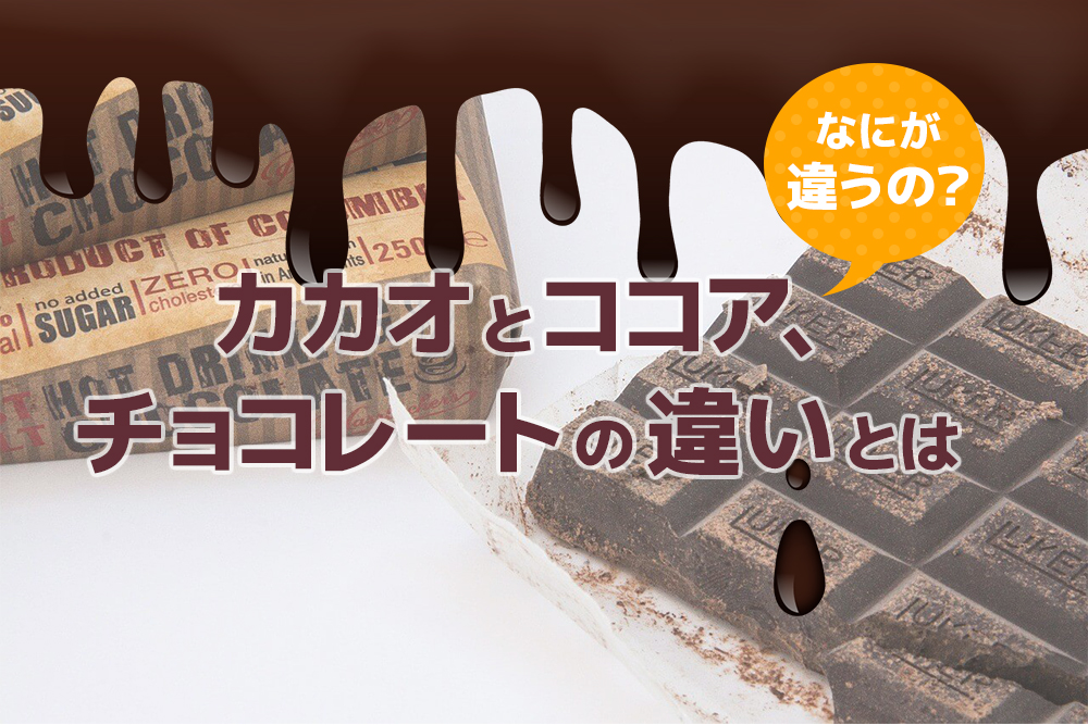 なにが違うの？カカオとココア・チョコレートの違いとは