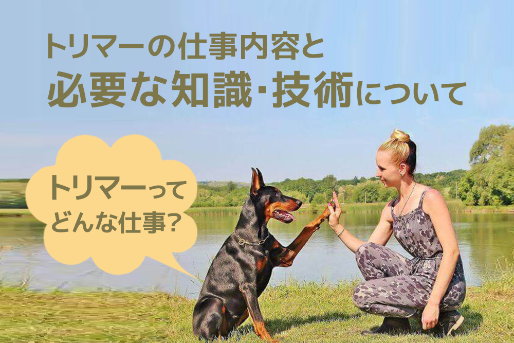 トリマーってどんな仕事 トリマーの仕事内容と必要な知識 技術について 通信教育講座 資格の諒設計アーキテクトラーニング