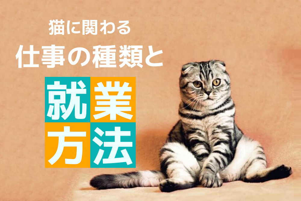 どんなものがある？自分にもなれる？猫に関わる仕事の種類と就業方法