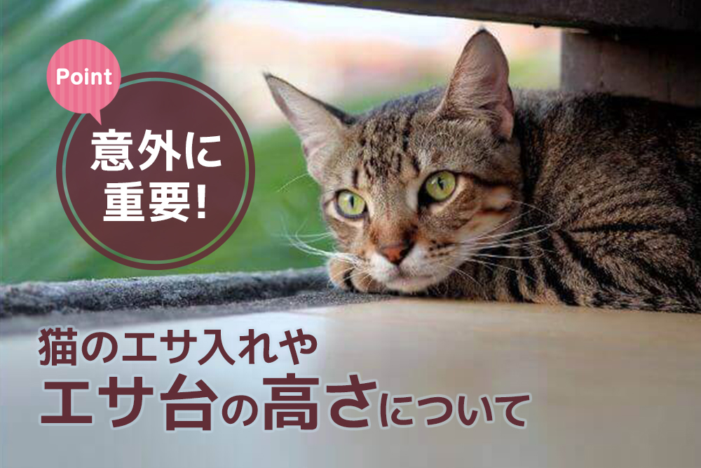 意外に重要！猫のエサ入れやエサ台の高さについて