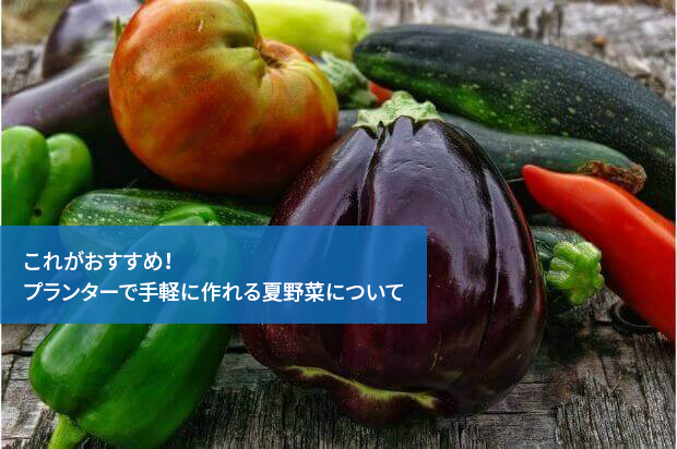 これがおすすめ！プランターで手軽に作れる夏野菜について