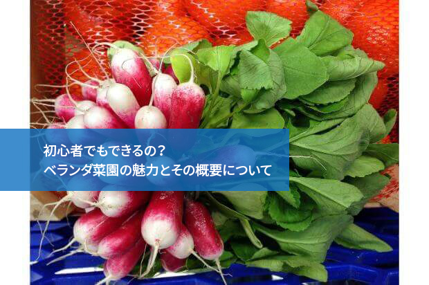 初心者でもできるの？ベランダ菜園の魅力とその概要について