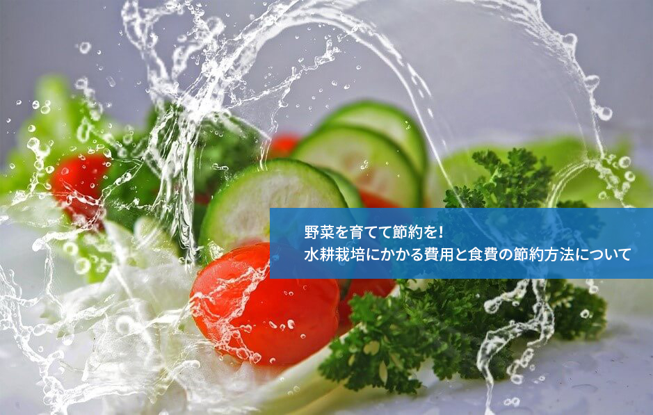 室内で簡単に野菜を栽培できる水耕栽培は土を使わないため、農作業が初心者の方でも安心できる方法です。もしかすると、家庭で野菜を作って食費を節約する目的で始めたいと思っている方も多いかもしれません。それでは実際に水耕栽培ではどの程度の費用がかかるのでしょうか。今回は水耕栽培にかかる費用と食費の節約方法についてご紹介します。