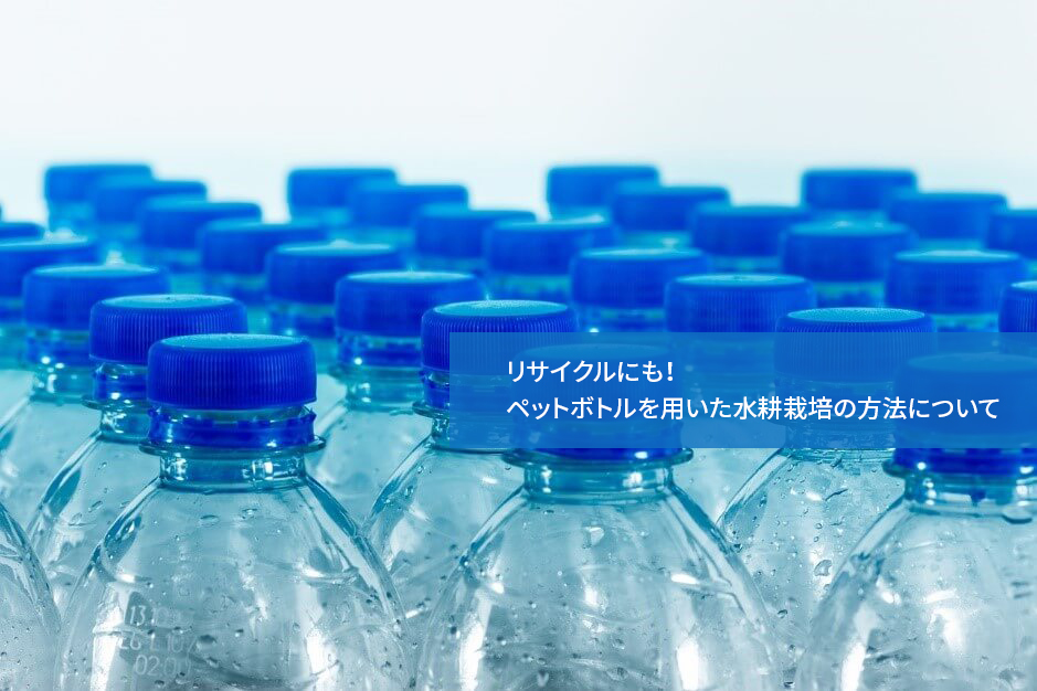 リサイクルにも！ペットボトルを用いた水耕栽培の方法について