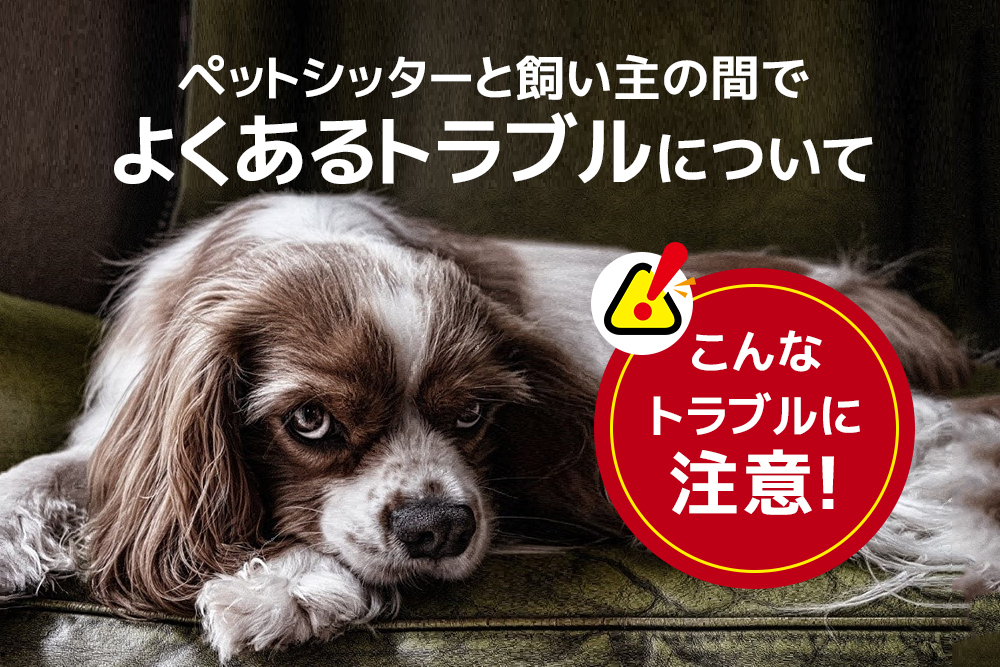 こんなトラブルに注意！ペットシッターと飼い主の間でよくあるトラブルについて