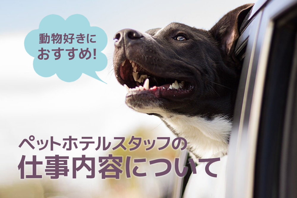 動物好きにおすすめ！ペットホテルスタッフの仕事内容について