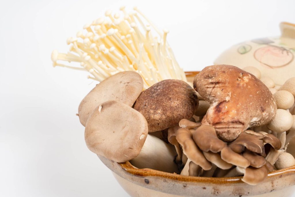 スペシャル講座なら100%資格取得できます