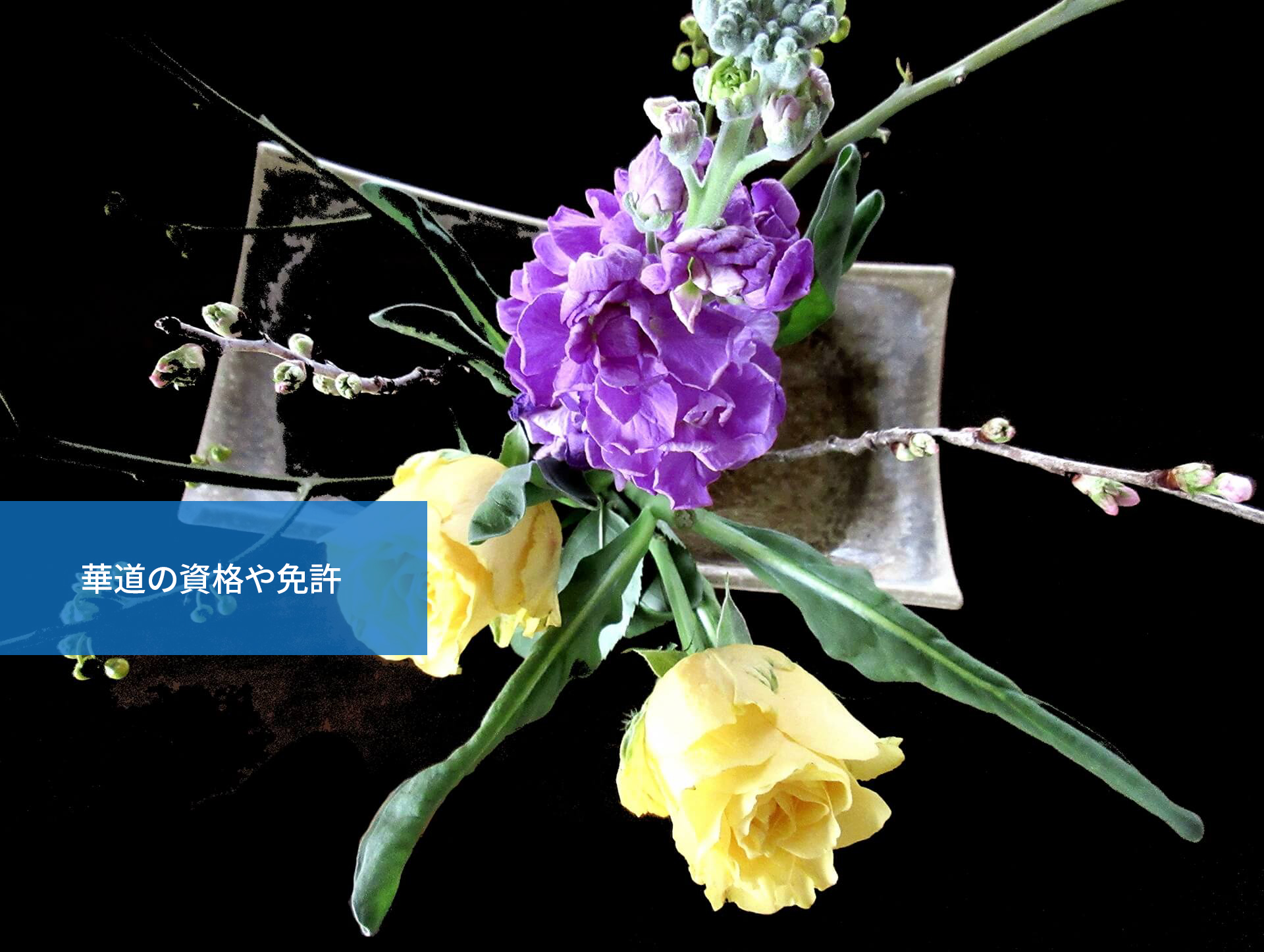 基本が重要 華道の礼儀作法と生け花の基本について 通信教育講座 資格の諒設計アーキテクトラーニング 基本が重要 華道の礼儀作法と生け花の基本について 通信教育講座 資格の諒設計アーキテクトラーニング