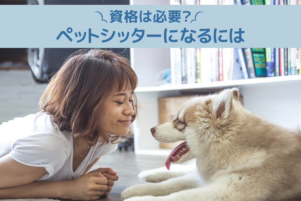 資格は必要?ペットシッターになるには
