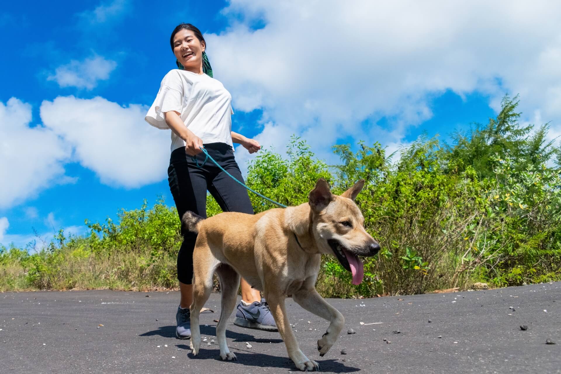 犬猫ストレスケアアドバイザー