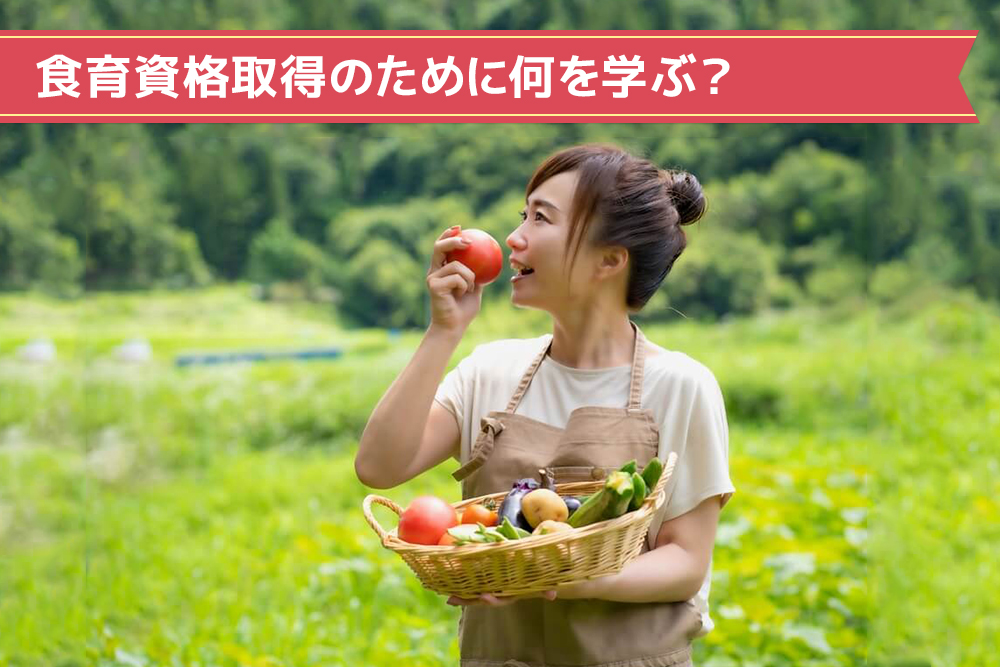 食育資格取得のために何を学ぶ?