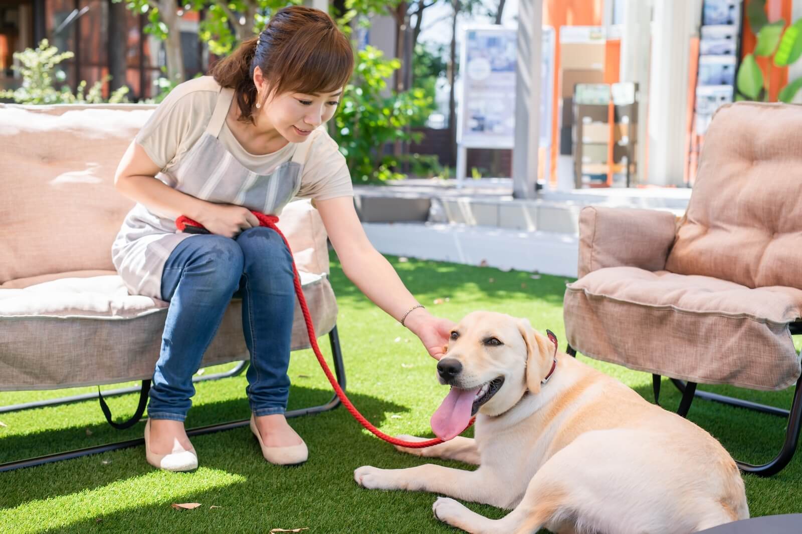 動物介護士資格を取得する方法