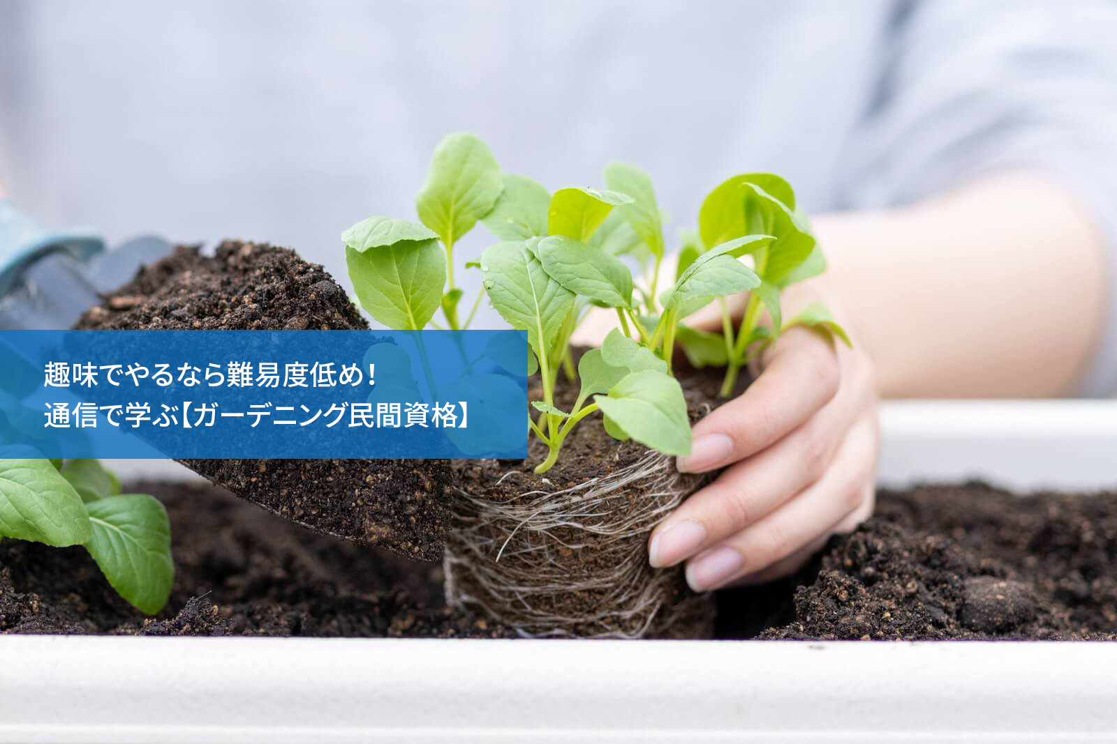 趣味でやるなら難易度低め！通信で学ぶ【ガーデニング民間資格】