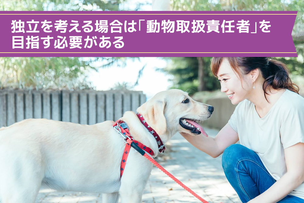 独立を考える場合は「動物取扱責任者」を目指す必要がある