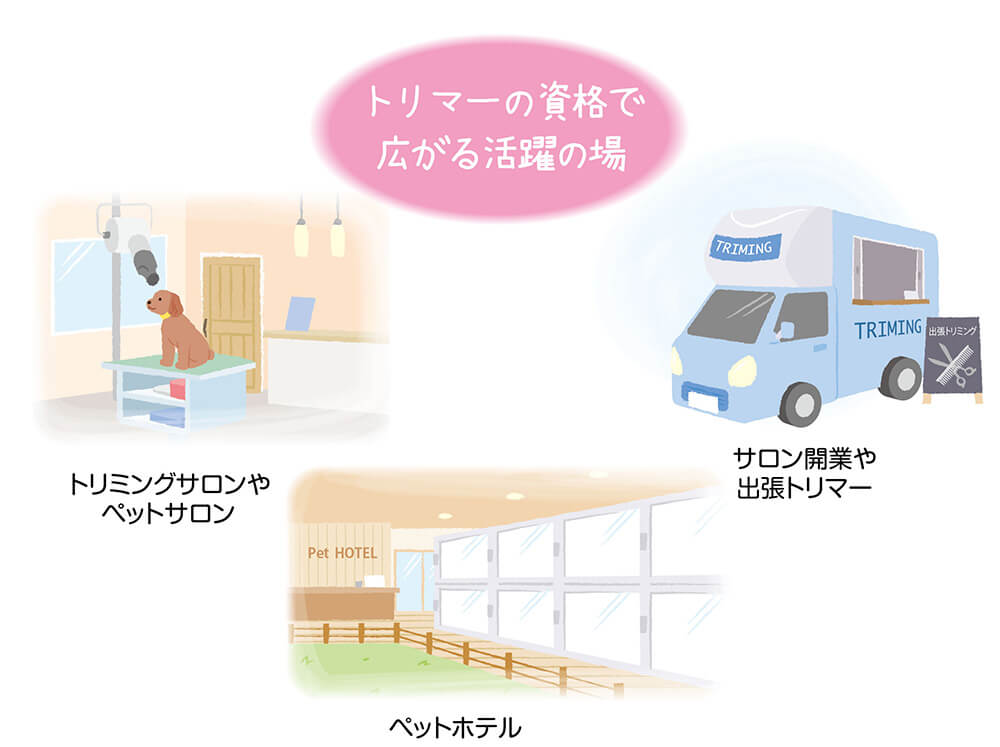 トリマーの資格保有者が活躍できるフィールドは?