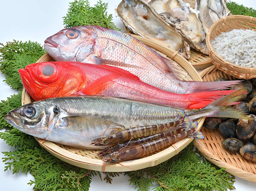 魚介類の専門家が目指せる!シーフードの専門講座!
