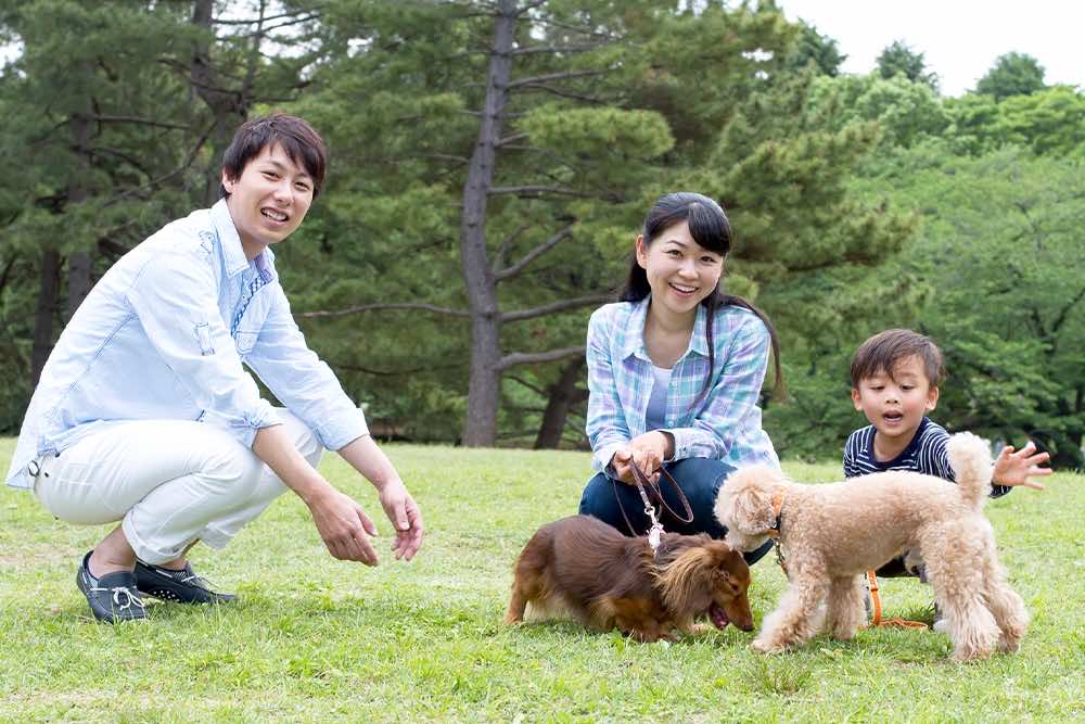 意外と多い犬猫が抱えるストレスの原因と解決法がわかる！