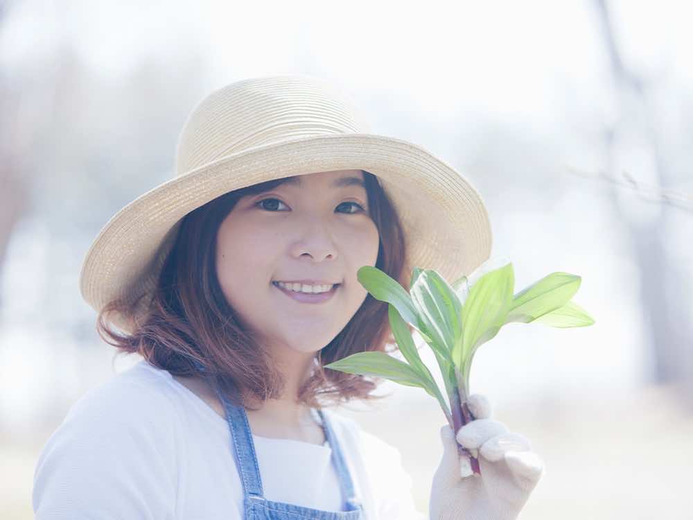 水耕栽培の資格保有者が活躍できるフィールドは?