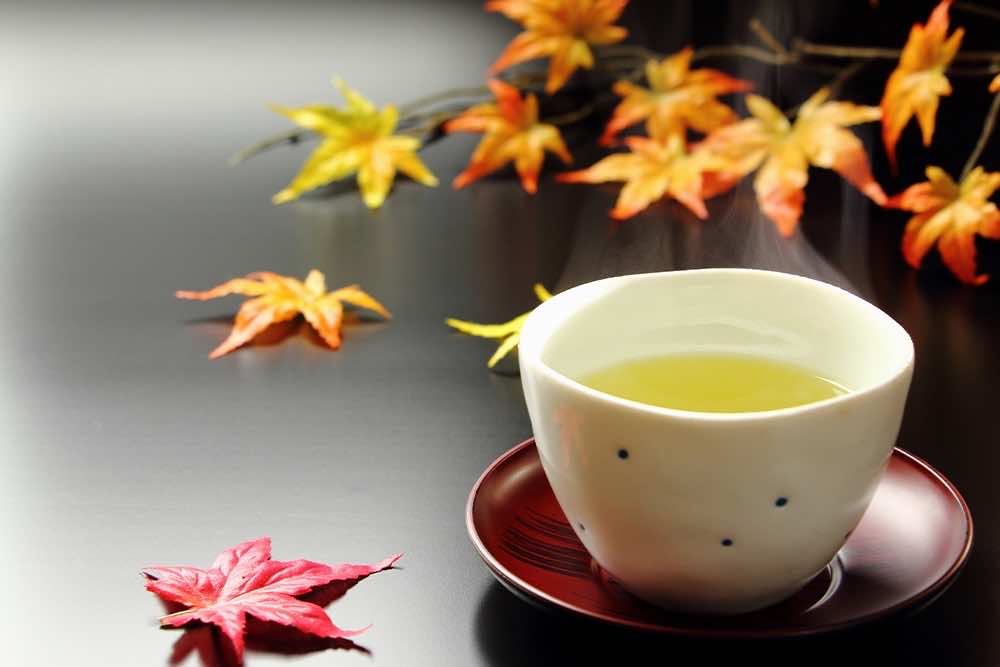 飲みやすく健康に良い日本茶の人気
