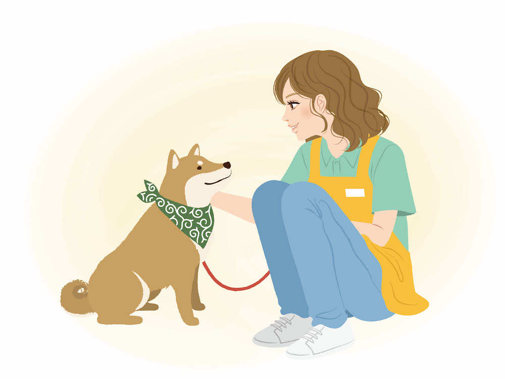 ペットシッターを目指すなら資格取得がおすすめな理由とは?