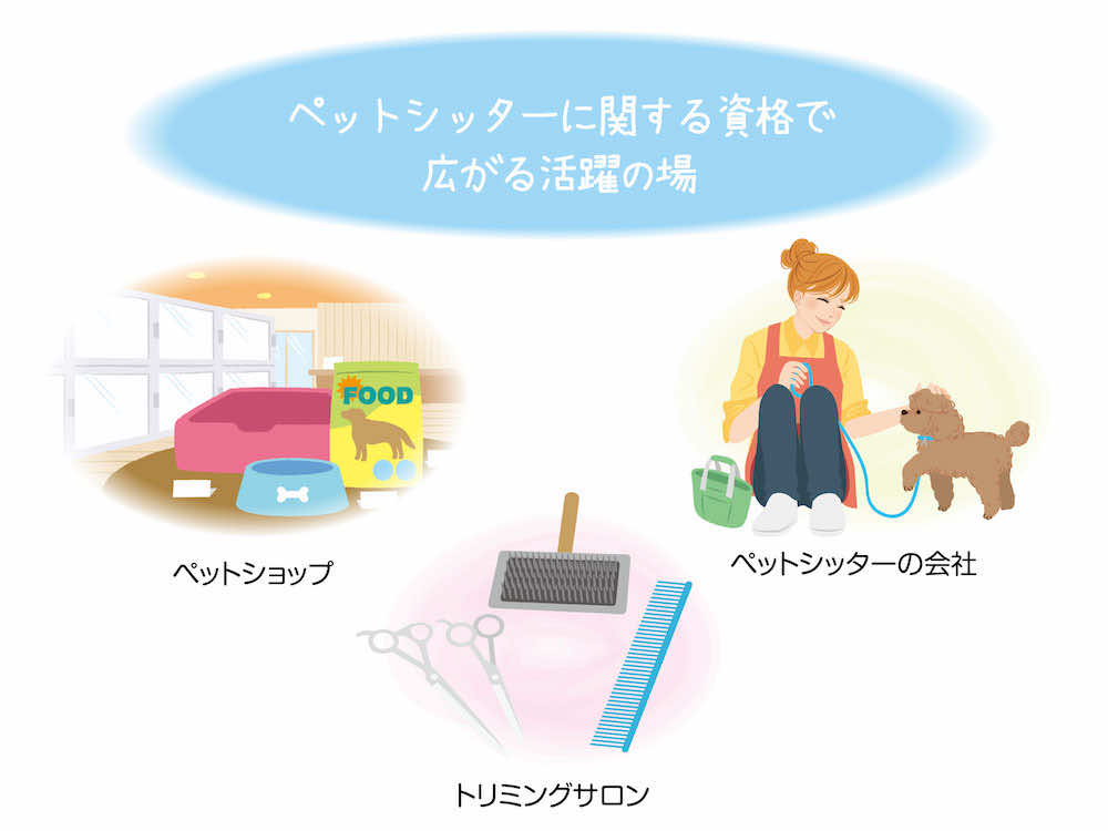 ペットシッターアドバイザーの資格保有者が活躍できるフィールドは?