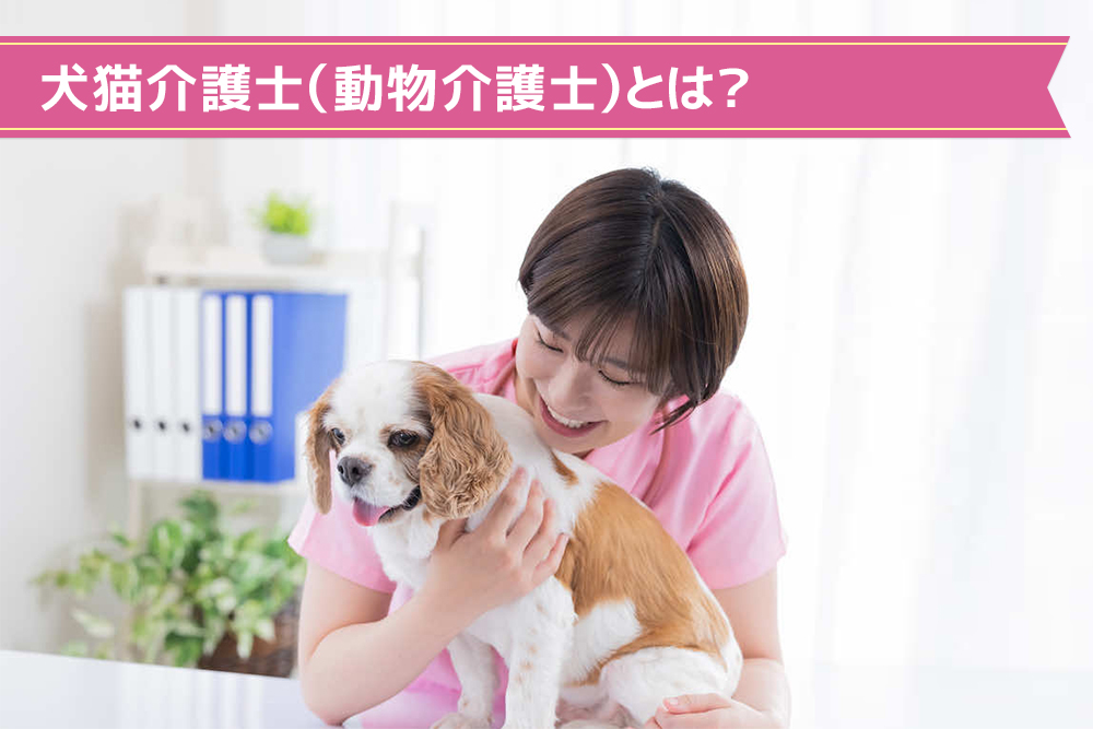 犬猫介護士（動物介護士）とは？