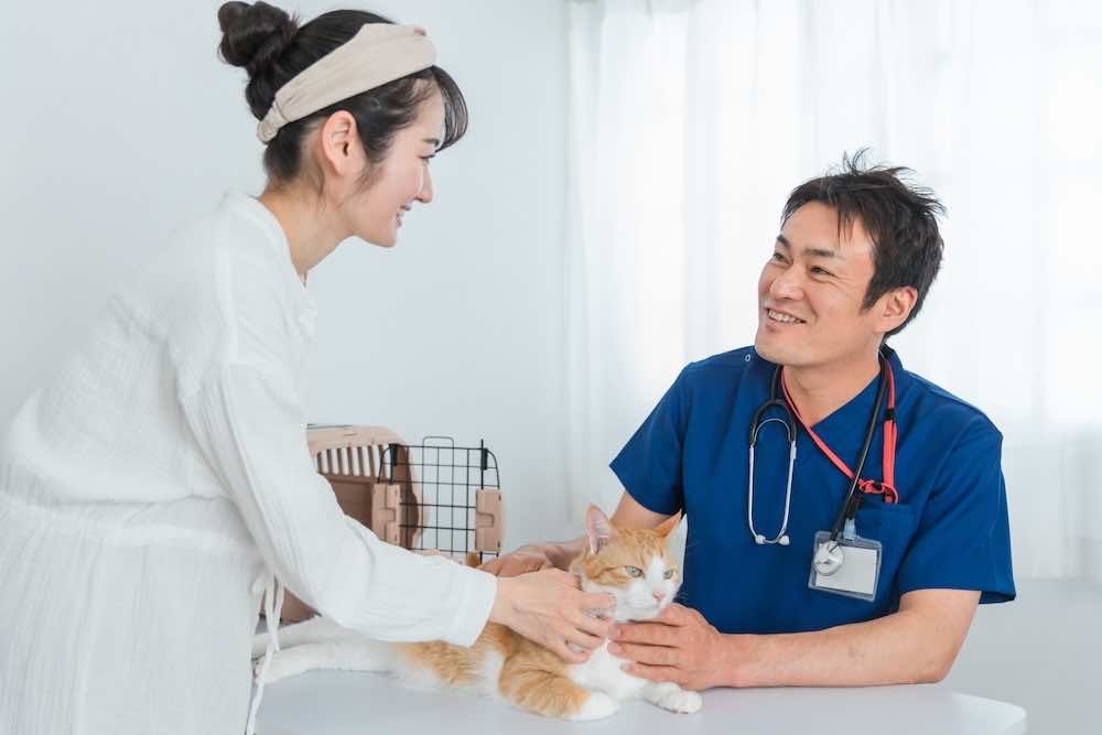 【見出し】猫に関わる仕事には資格が必要?