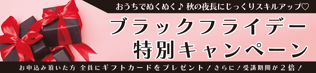 ブラックフライデー特別キャンペーン