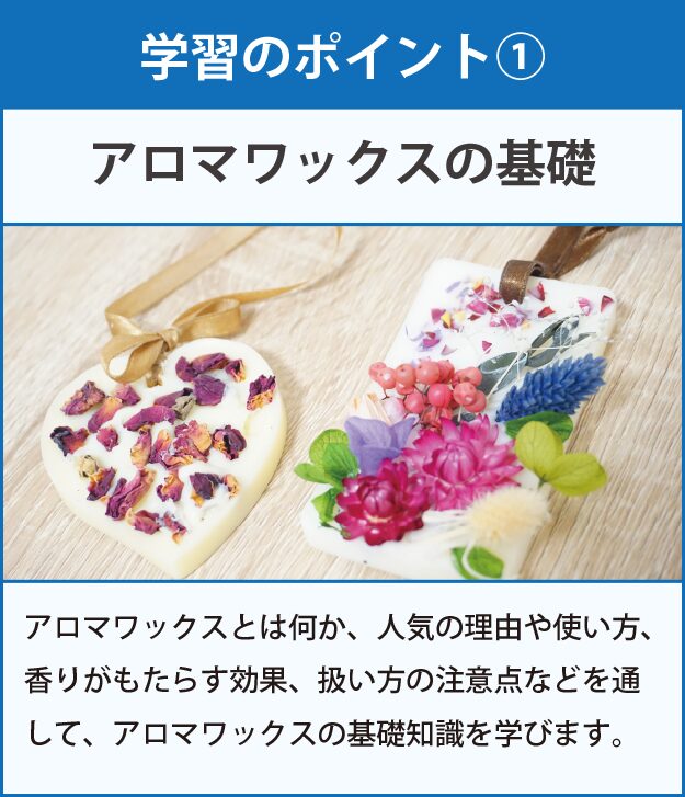 学習のポイント