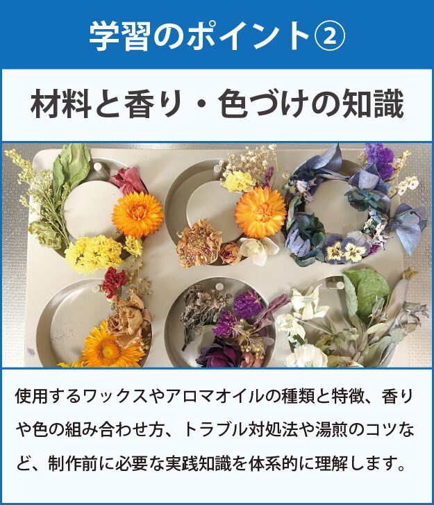 学習のポイント