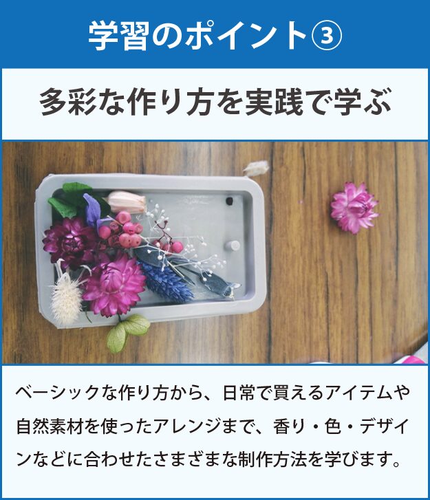 学習のポイント