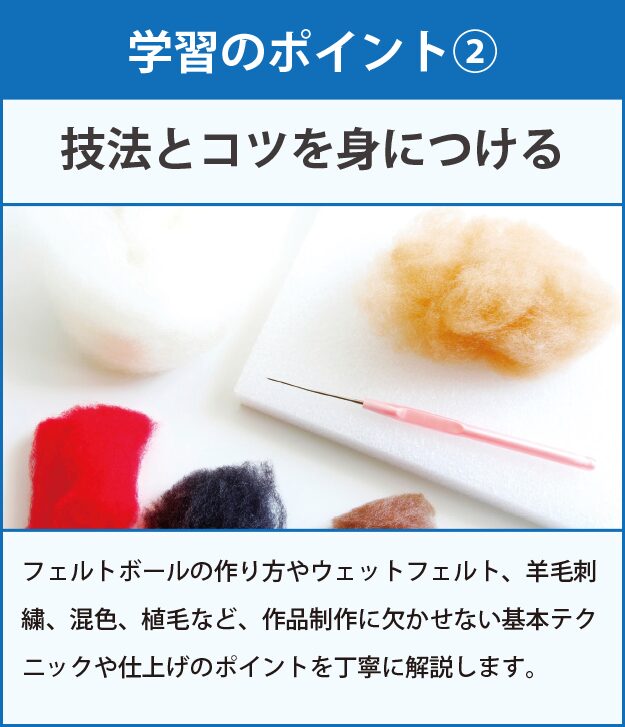 学習のポイント