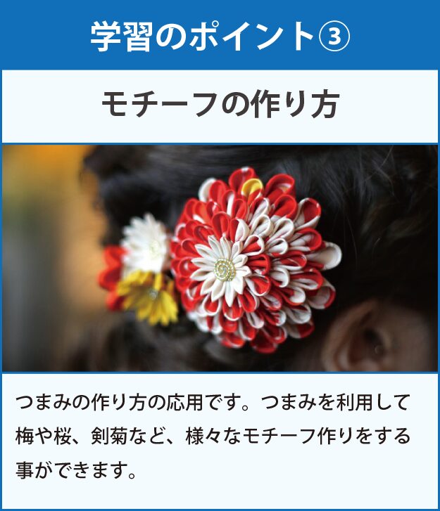 学習のポイント