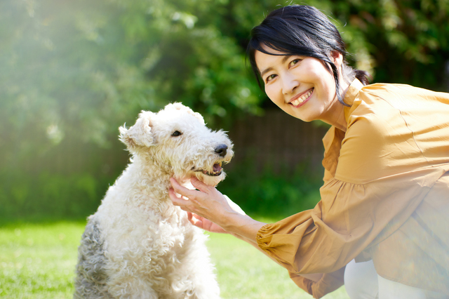 スペシャル講座なら100%資格取得できます