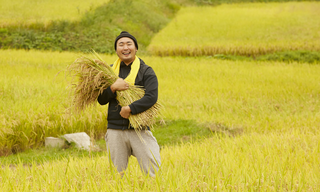 スペシャル講座なら100%資格取得できます