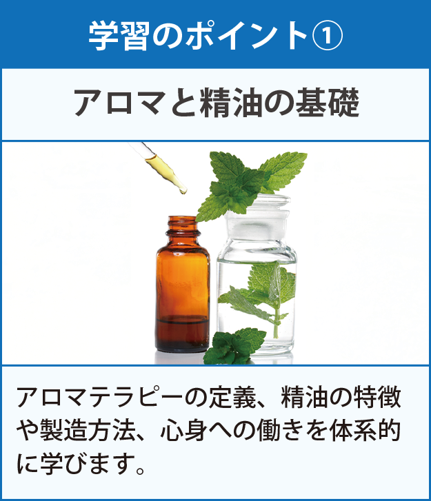 学習のポイント