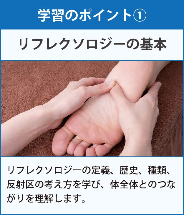 学習のポイント